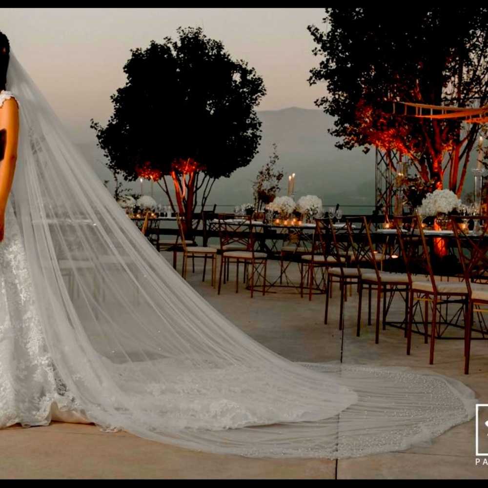 Extended cathedral train veil with pearls scattered all around